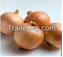 golden onion