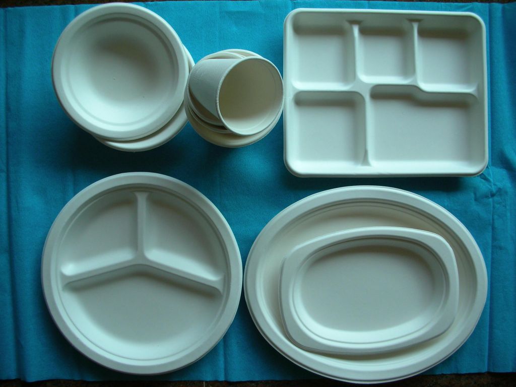 biodegradable disposable tableware