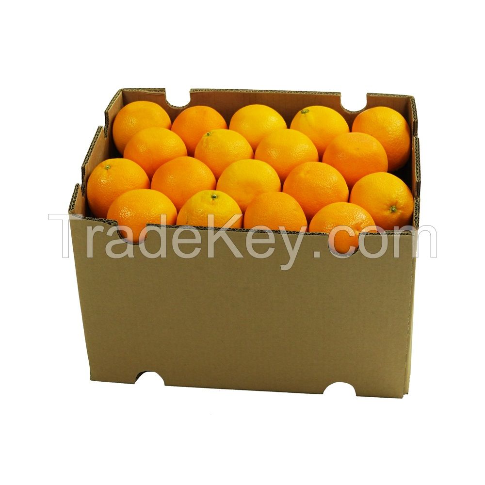 South Africa Fresh Fruits Citrus 15kg carton Type Oranges Navel, Valencia, Mandarin, Lime/ Lemon/ eureka Growers, Exporters, Suppliers