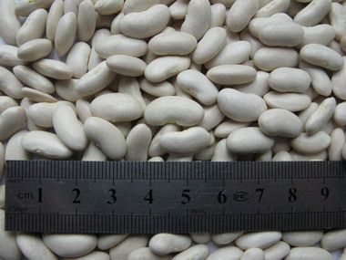 White kidney beans