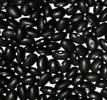 Black kidney beans