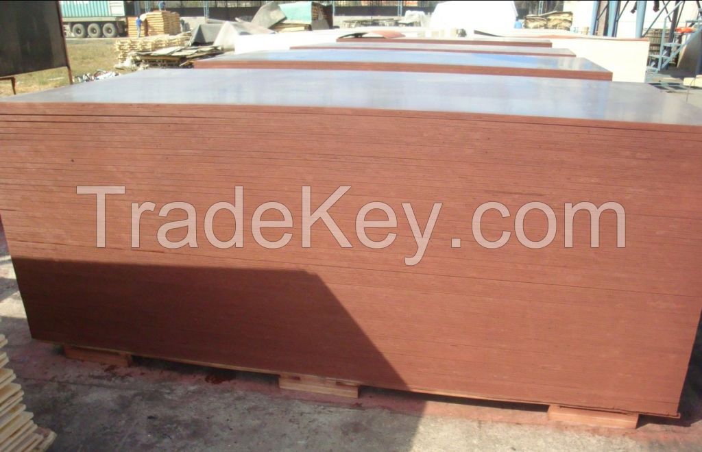 Melamine Coated Plywood / Film Faced Plywood