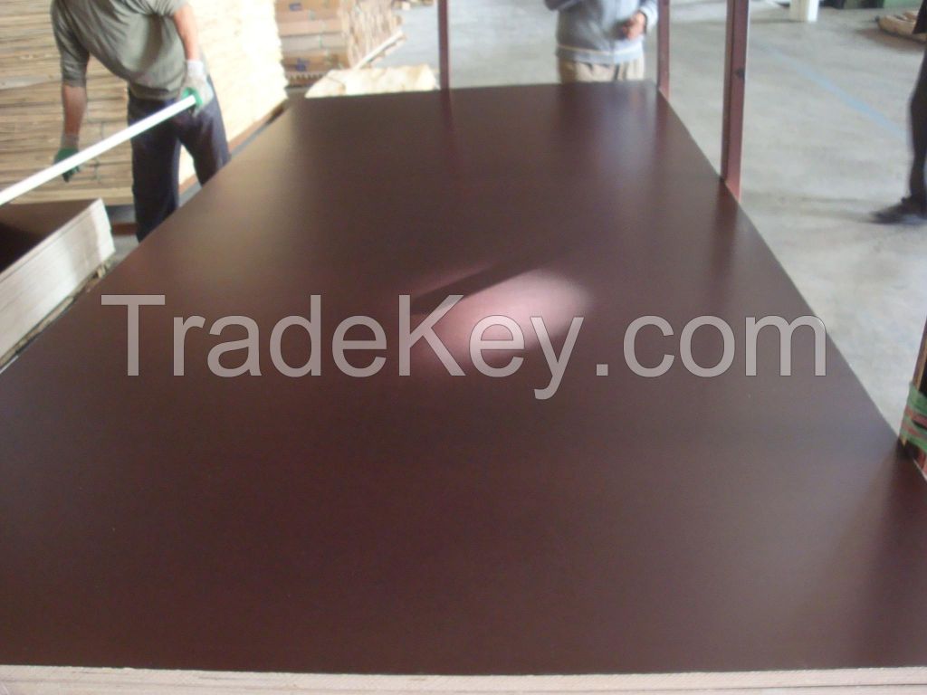 Melamine Coated Plywood / Film Faced Plywood