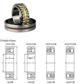 Double Row Cylindrical Roller Bearings