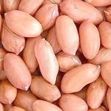 groundnut kernels,New crop blanched groundnut kernels,Long Type groundnut kernel