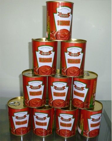 tomato paste