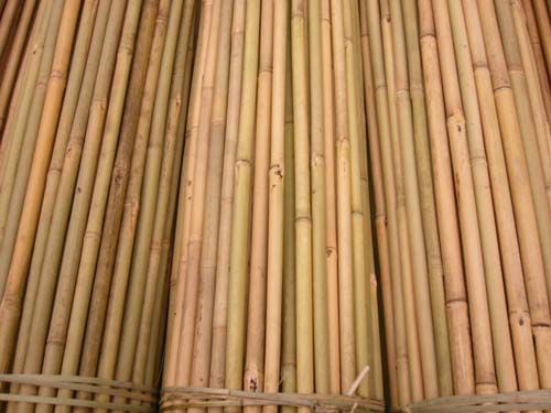 Natural bamboo poles CHEAP