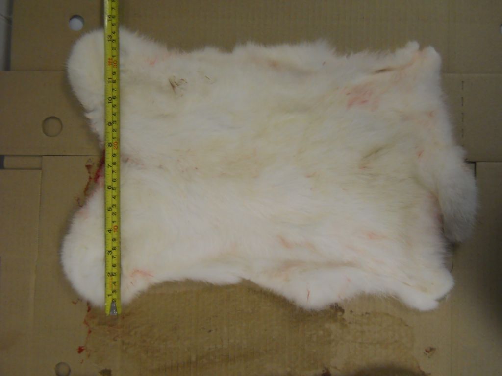 Frozen rabbit fur skins