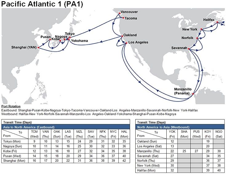 Ocean freight -FCL  from Shenzhen,Shanghai , Ningbo China to Los Angeles, CA, USA
