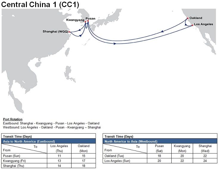 Ocean freight -FCL  from Shenzhen,Shanghai , Ningbo China to Los Angeles, CA, USA
