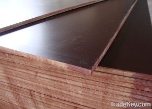 (4-30mm) Black Film Faced Plywood/Fancy Plywood/Building Construction