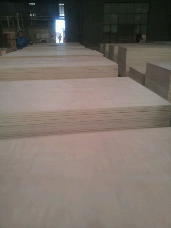 Poplar core okoume face plywood 