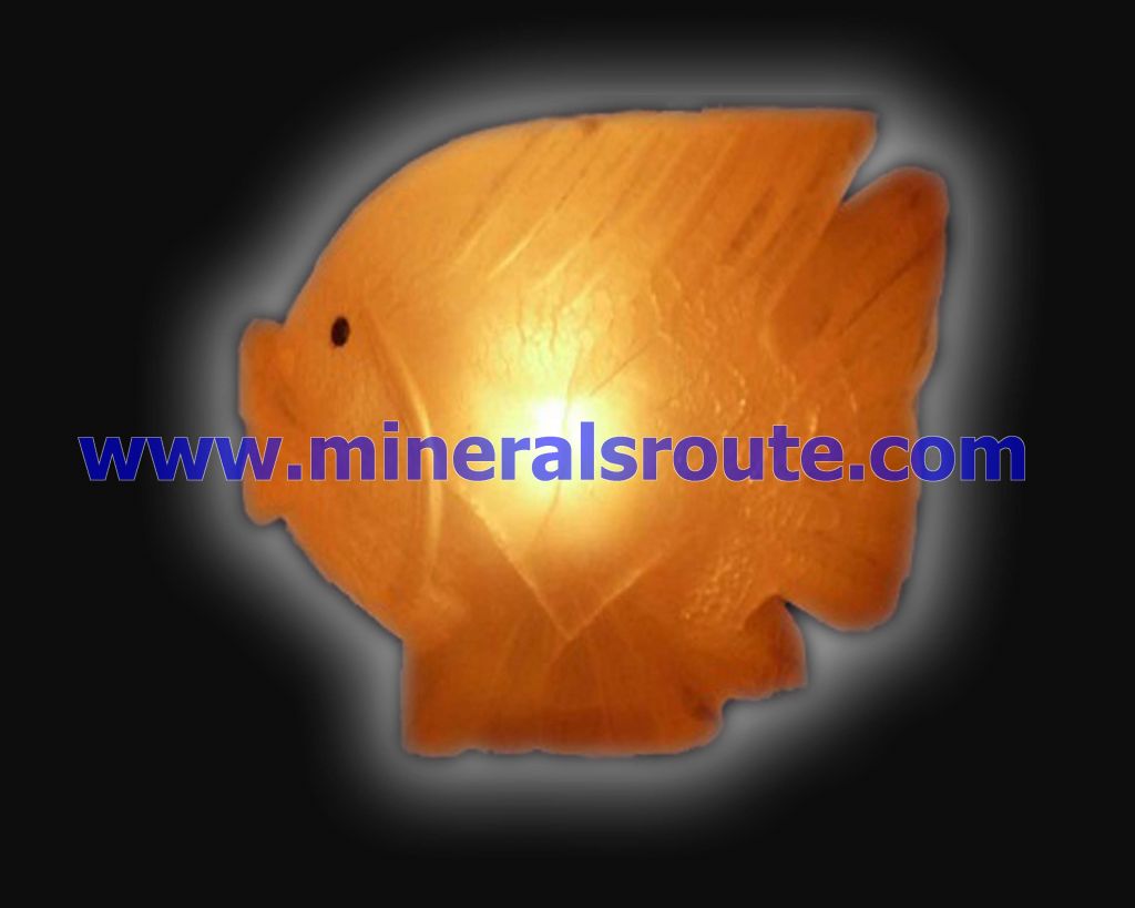 Animal Shape Salt Lamps