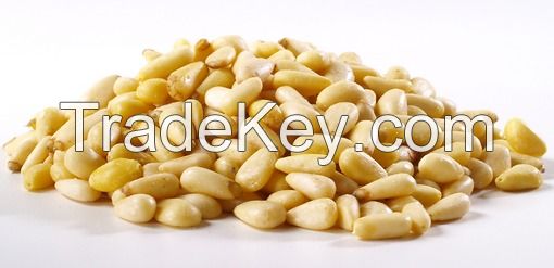 QUALITY PINE NUTS