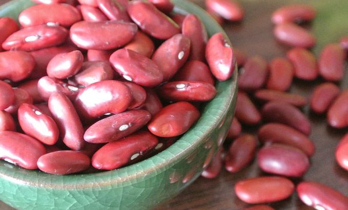 Dark Red Kidney Beans