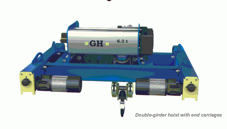 Wire rope hoist