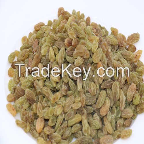 dry fruits , green raisin