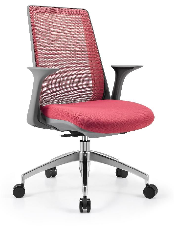 C1 office chair-bigao furniture