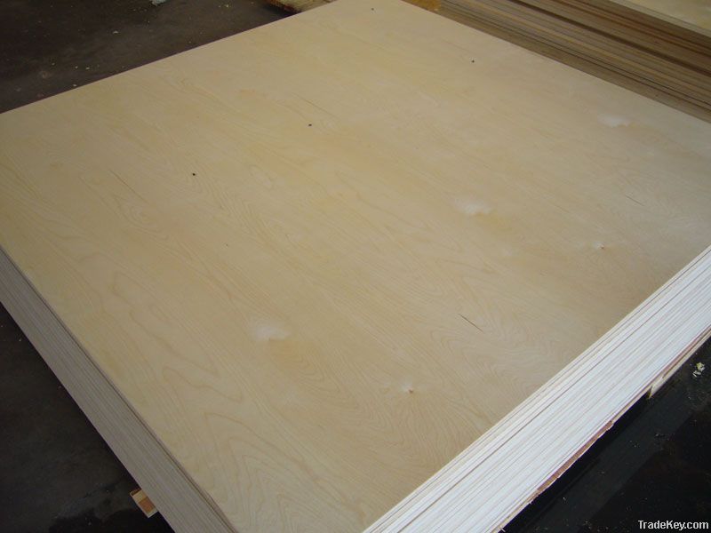 poplar plywood