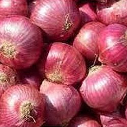 Bangalore Rose Onion