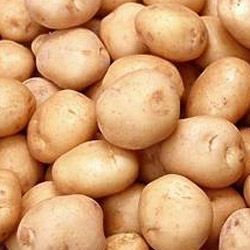 Organic Potatoes