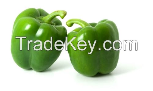 Capsicum