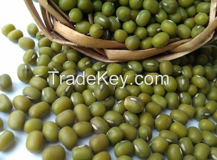 Green Mung Beans