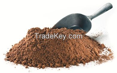 cocoa powder