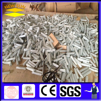 Stainless Steel Wire Mesh Filter