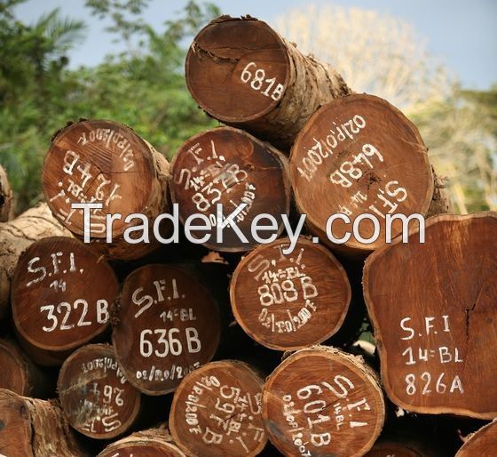 Timber logs for sale