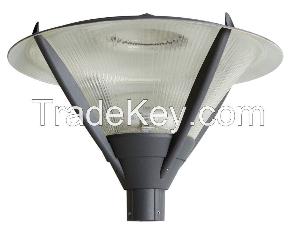 Induction Landscape Light