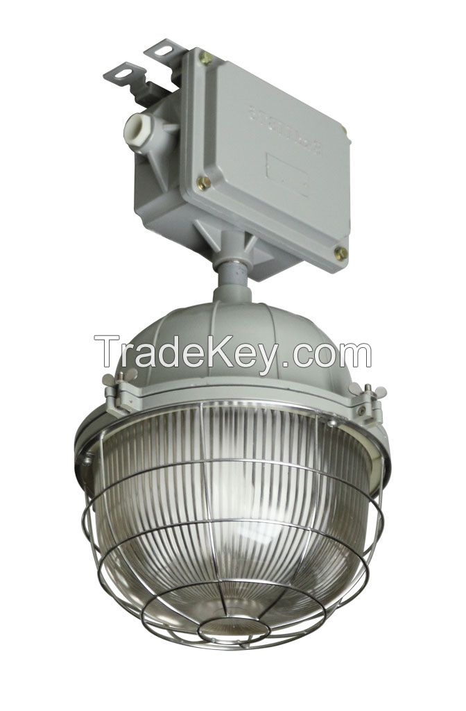 Induction Anti-explosion Light