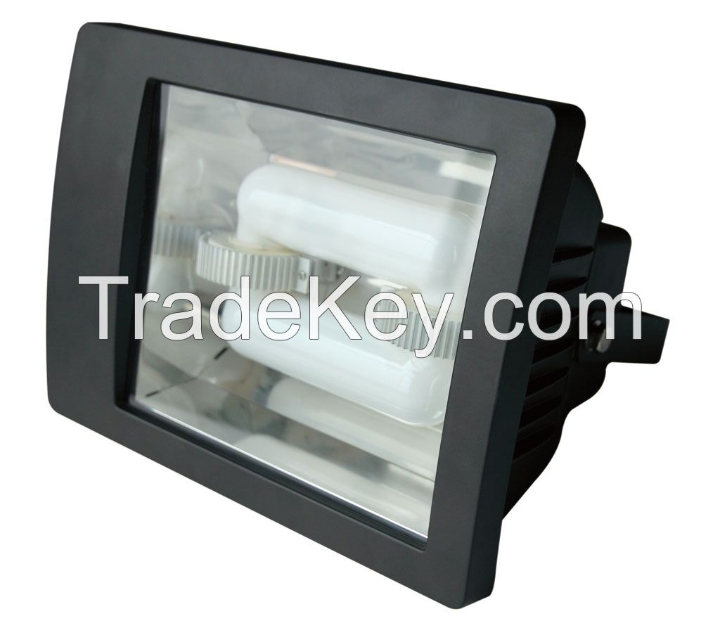 Induction Flood Light