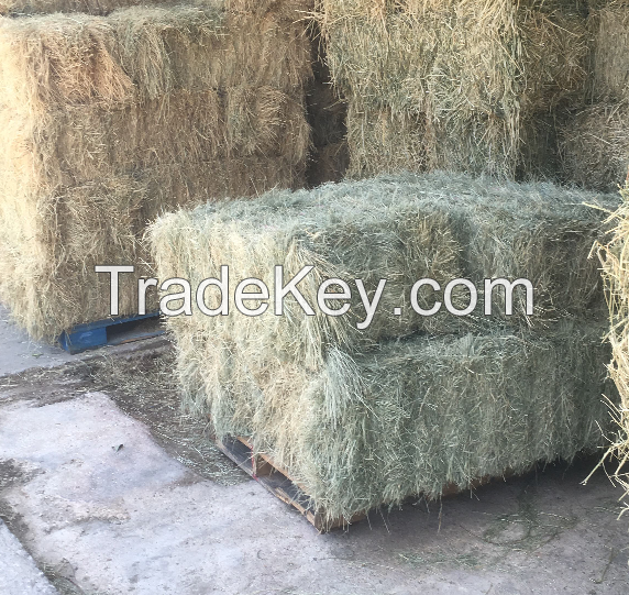 Lucerne Hay Bales