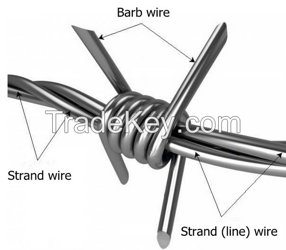 Barbed wire double strand