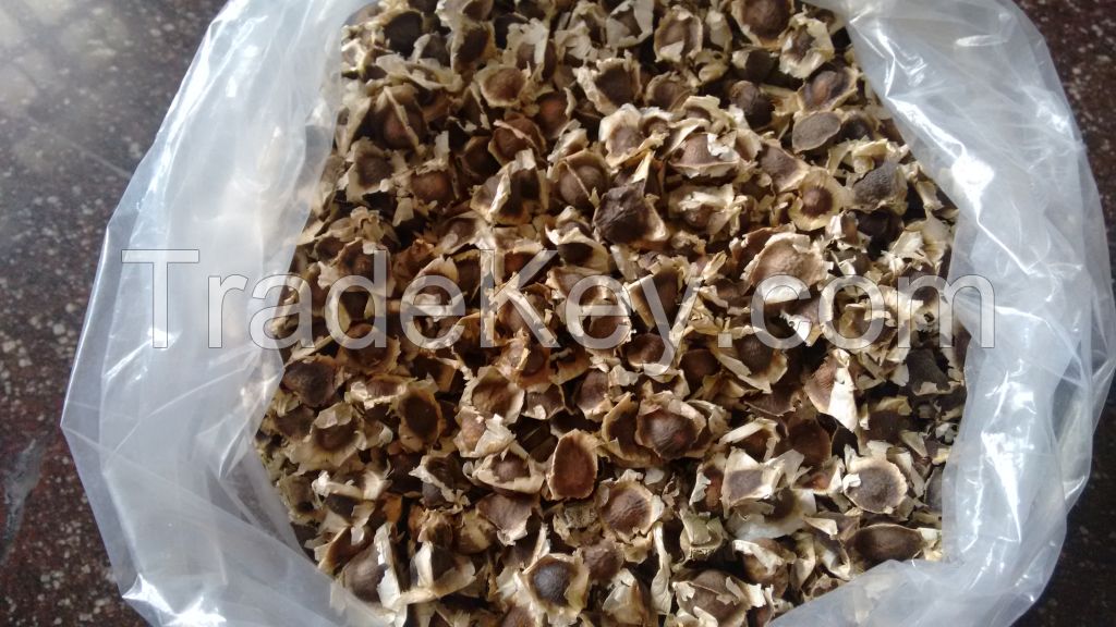 Moringa Seeds