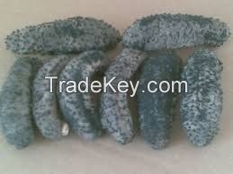 Dried Sea Cucumber