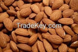 Premium Quality Dried Sweet Almond Nuts