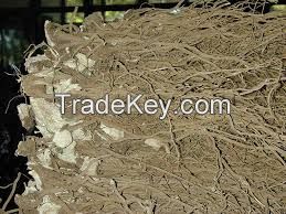 Kava Root