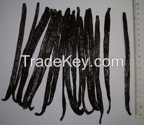 Vanilla Beans