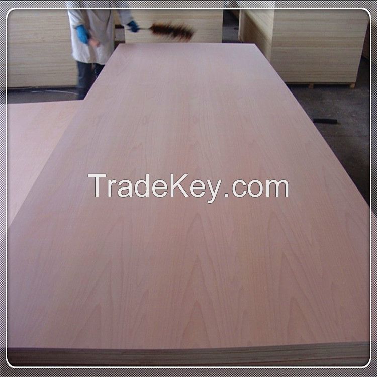 Bintangor/Okoume Commercial Plywood