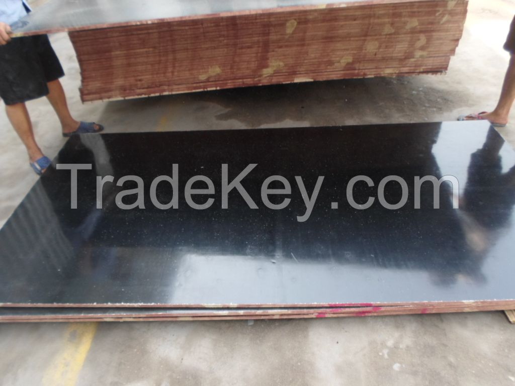 Low Price Film Faced Shuttering Plywood