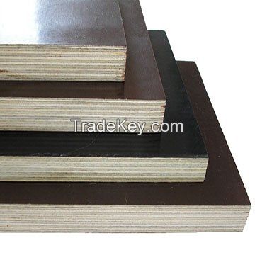 1250mmx2500mm size Plywood