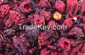 dreid hibiscus flowers ready 