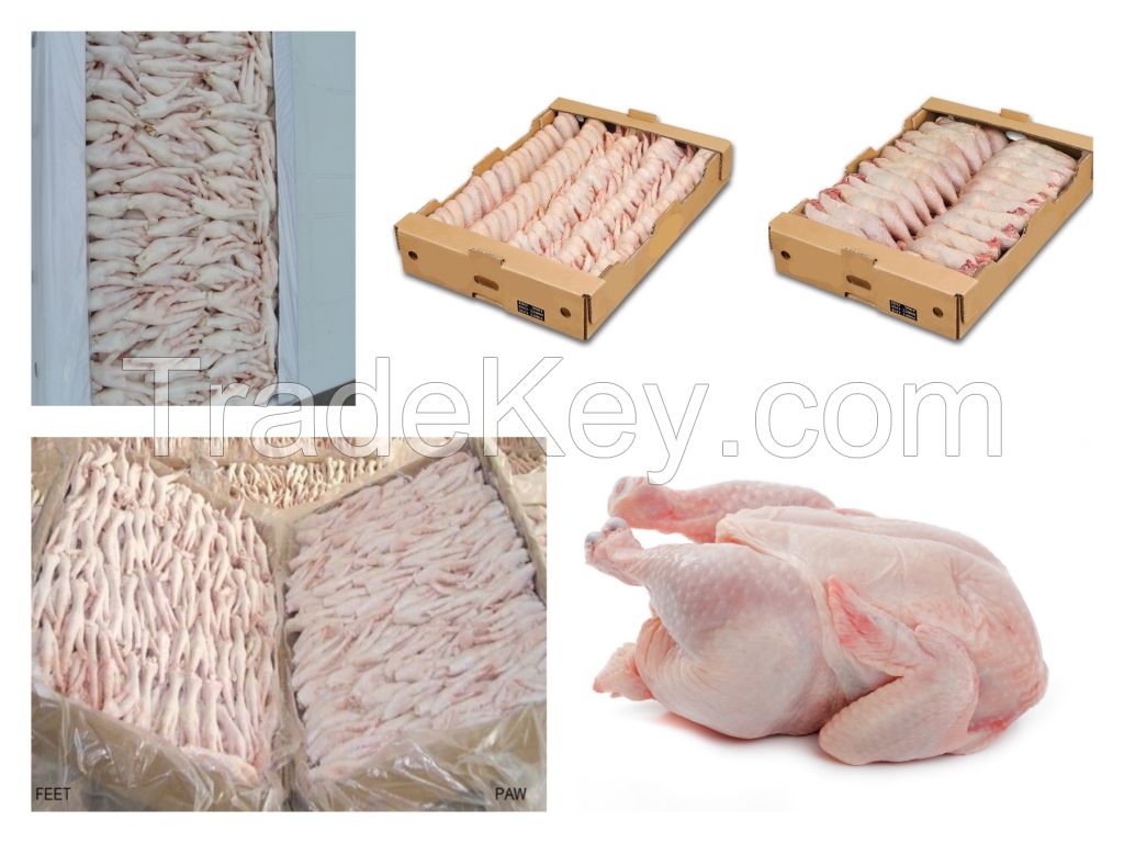 BEST QUALITY GRADE A PROCESSED FROZEN Chicken feets, chicken paws, whole chicken, chicken wings, breast, thighs, drumstick