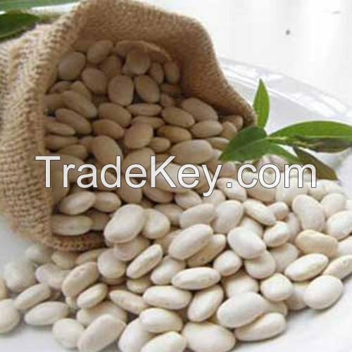 white kidney Beans