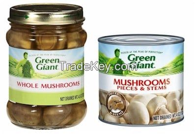 canned mushroom