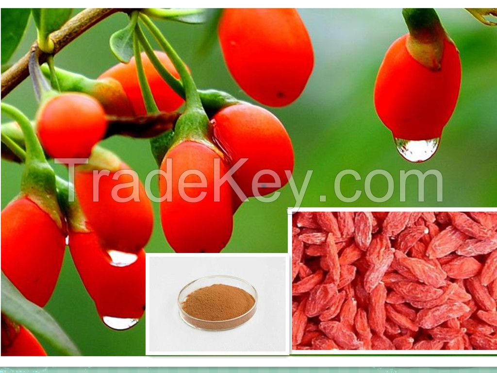 Organic Wolfberry Extract