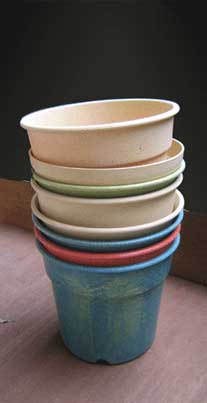 Biodegradable pots