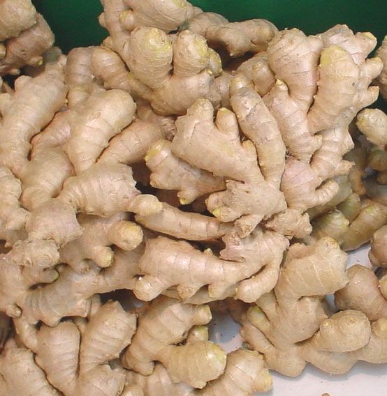 Vietnam Fresh ginger